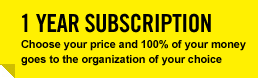 1 year subscription